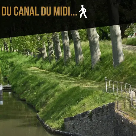 Appartement Les De Laure - L'or Vert, Avec Vue Sur Le Château, Parking Privé, Climatisation, Netflix, à 160 M De La Cité Médiévale Carcassonne