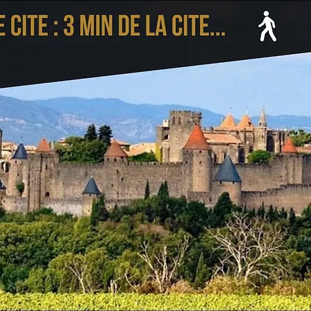 Appartement Les De Laure - L'or Vert, Avec Vue Sur Le Château, Parking Privé, Climatisation, Netflix, à 160 M De La Cité Médiévale