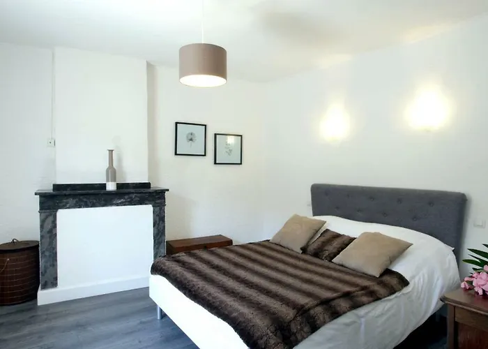 Les De Laure - L'or Vert, Avec Vue Sur Le Chateau, Parking Prive, Climatisation, Netflix, A 160 M De La Cite Medievale Apartment *